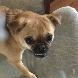 Meet your Posher, Frederick